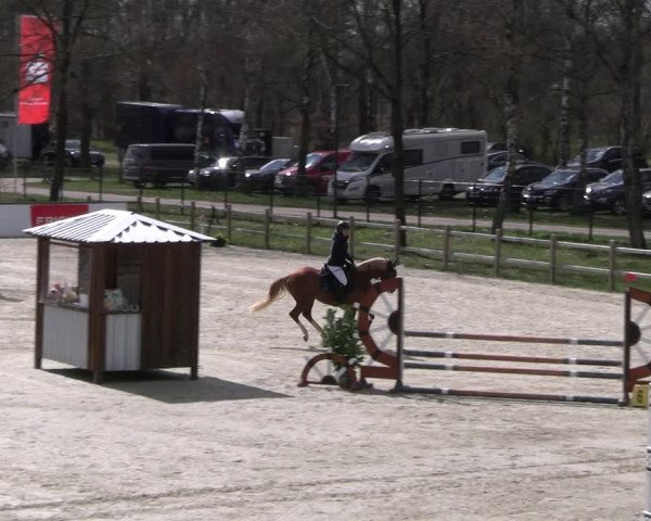 Reitturnier Westergellersen 2023