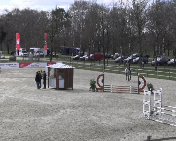 Reitturnier Westergellersen 2023