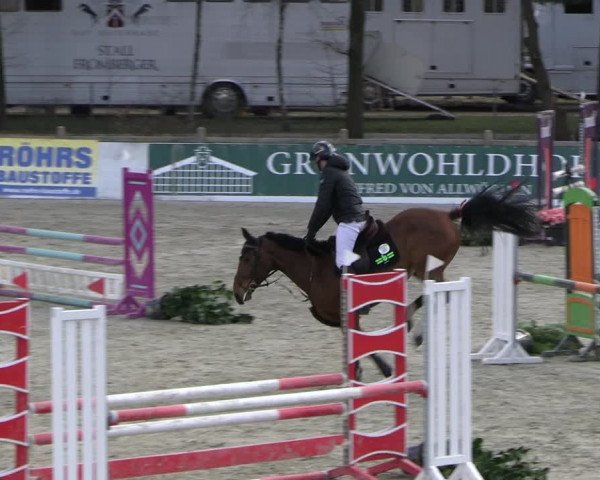 Reitturnier Westergellersen 2023