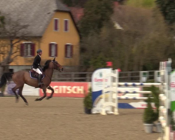 Reitturnier Gniebing-Feldbach 2023
