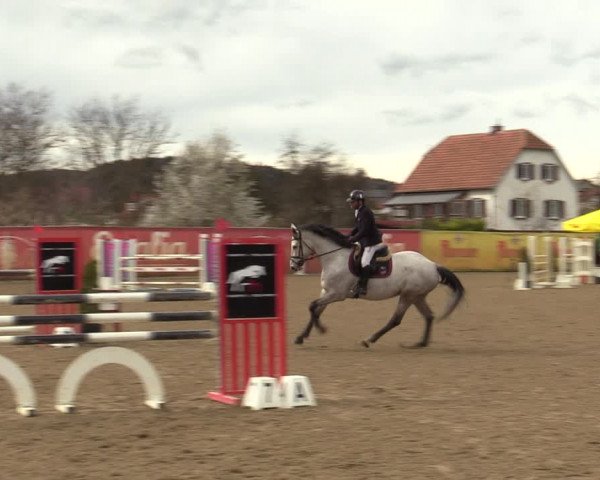 Reitturnier Gniebing-Feldbach 2023