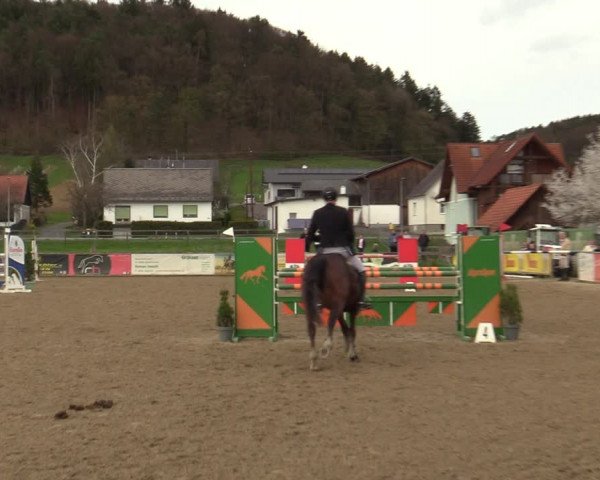 Reitturnier Gniebing-Feldbach 2023