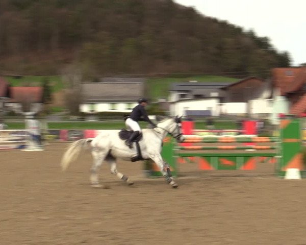 Reitturnier Gniebing-Feldbach 2023