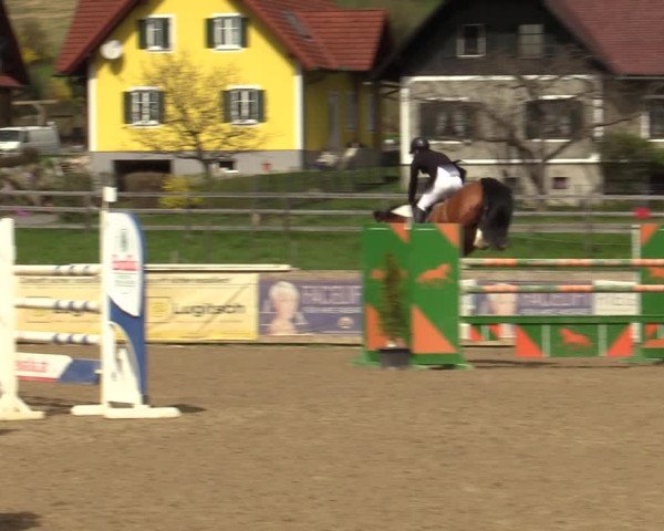 Reitturnier Gniebing-Feldbach 2023