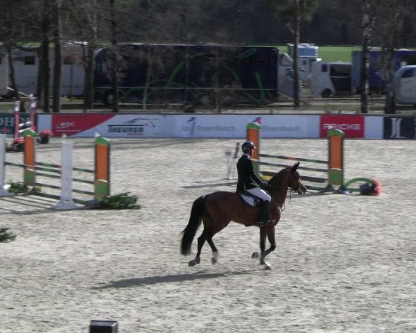 Reitturnier Westergellersen 2023