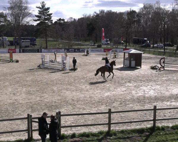 Reitturnier Westergellersen 2023