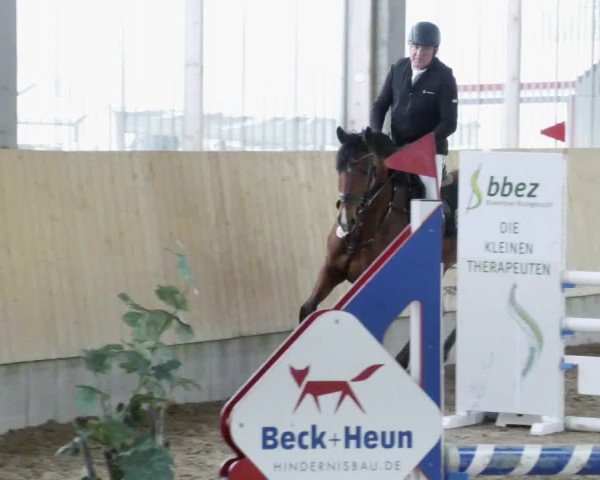 Reitturnier Worms-Pfeddersheim / Reitsportanlage Wittemer 2023