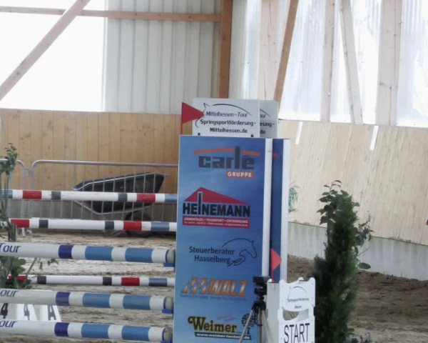 Reitturnier Worms-Pfeddersheim / Reitsportanlage Wittemer 2023