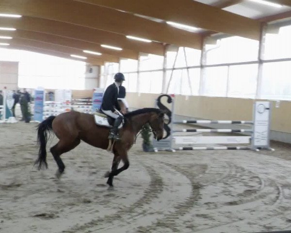 Reitturnier Worms-Pfeddersheim / Reitsportanlage Wittemer 2023