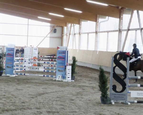 Reitturnier Worms-Pfeddersheim / Reitsportanlage Wittemer 2023