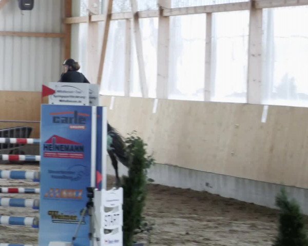 Reitturnier Worms-Pfeddersheim / Reitsportanlage Wittemer 2023