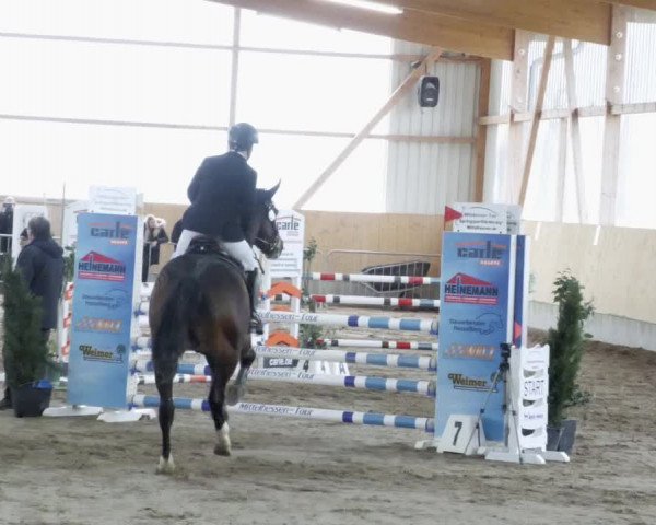 Reitturnier Worms-Pfeddersheim / Reitsportanlage Wittemer 2023