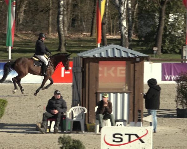 Reitturnier Westergellersen 2023