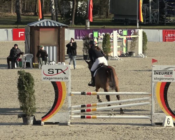 Reitturnier Westergellersen 2023