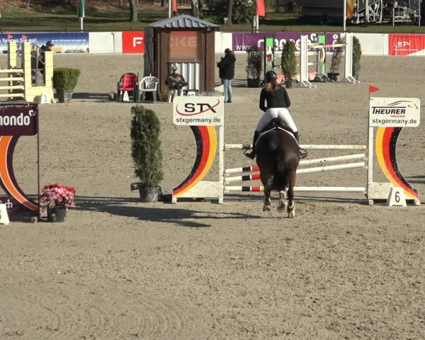 Reitturnier Westergellersen 2023