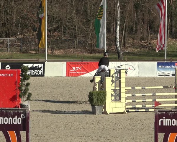 Reitturnier Westergellersen 2023