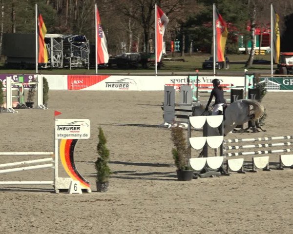 Reitturnier Westergellersen 2023