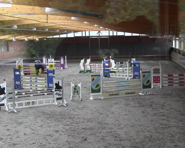 Reitturnier Tremsdorf, Eichenhof 2021