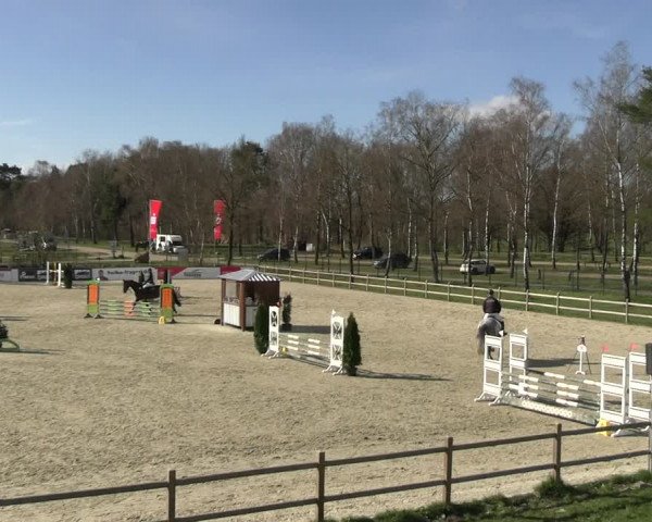 Reitturnier Westergellersen 2023