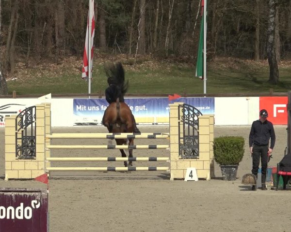 Reitturnier Westergellersen 2023