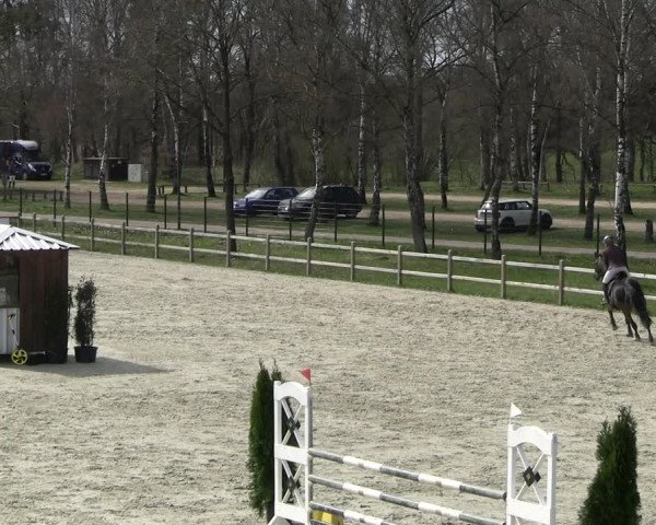 Reitturnier Westergellersen 2023