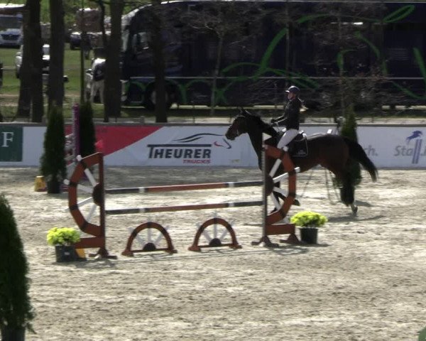 Reitturnier Westergellersen 2023