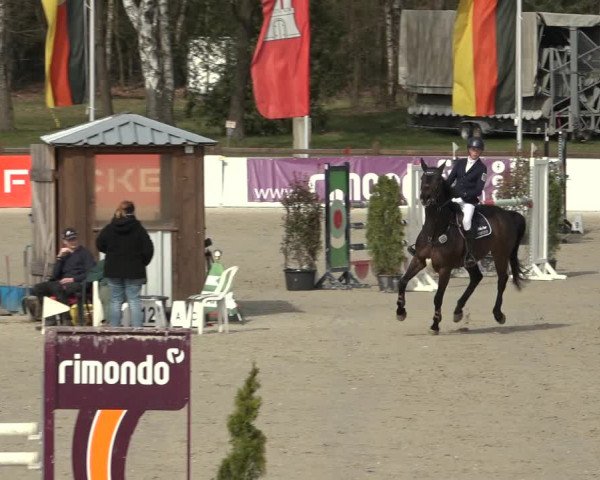 Reitturnier Westergellersen 2023