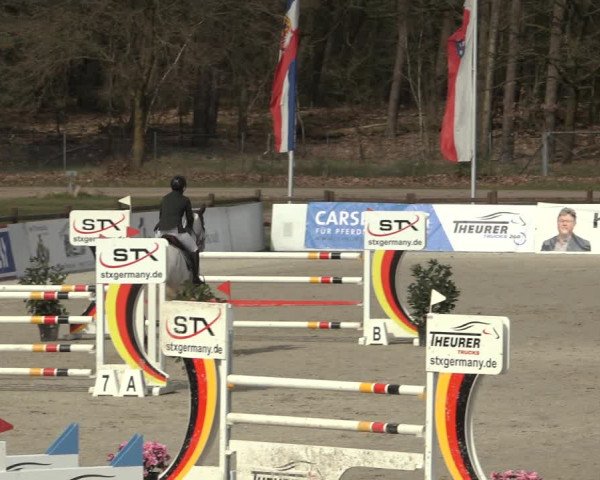 Reitturnier Westergellersen 2023