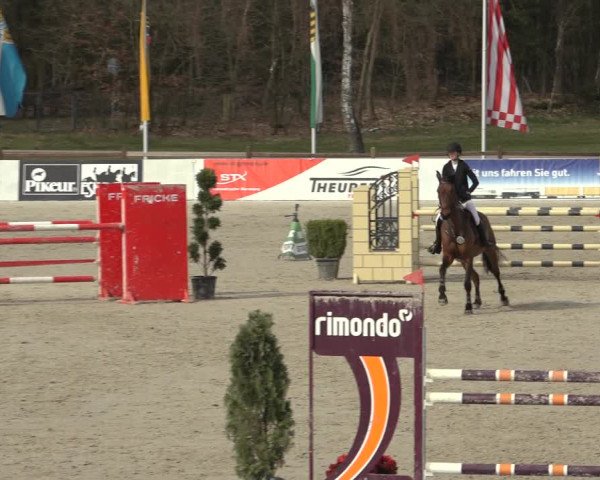 Reitturnier Westergellersen 2023