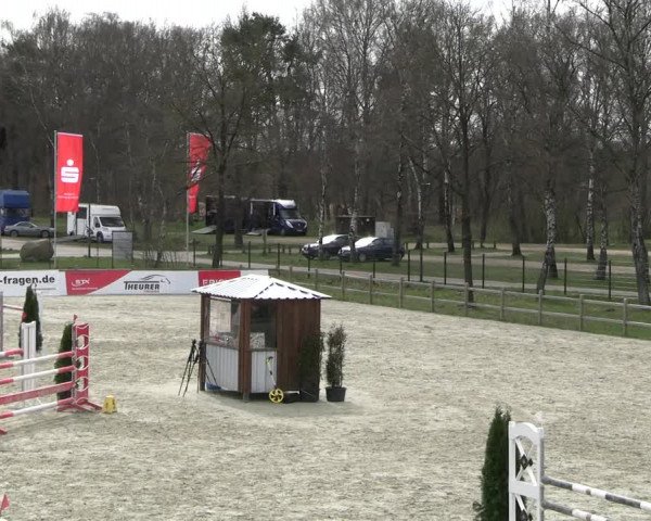 Reitturnier Westergellersen 2023