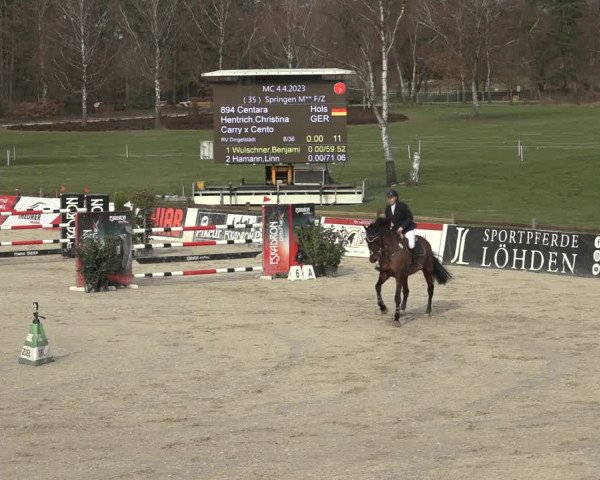 Reitturnier Westergellersen 2023