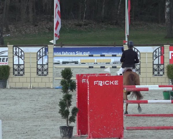 Reitturnier Westergellersen 2023