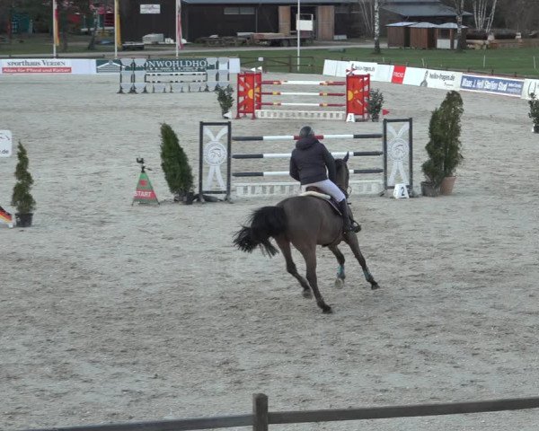 Reitturnier Westergellersen 2023