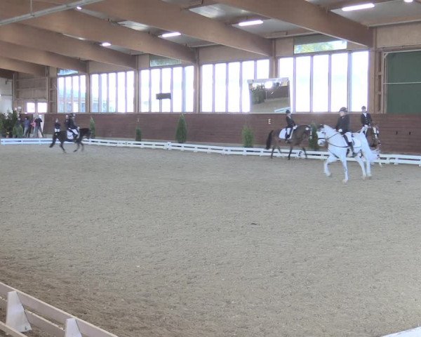 Reitturnier Coesfeld/Lette 2021