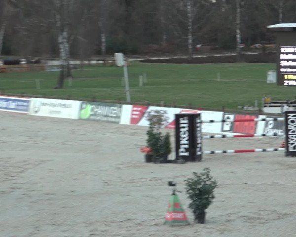 Reitturnier Westergellersen 2023