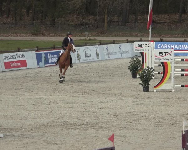Reitturnier Westergellersen 2023