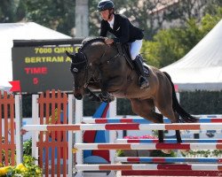 jumper Qinn C (Belgian Warmblood, 2016, from Cornet Obolensky)