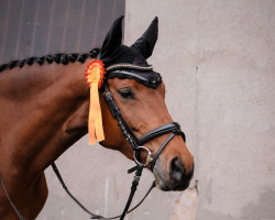 jumper Cantalia (German Sport Horse, 2015, from Canstakko)