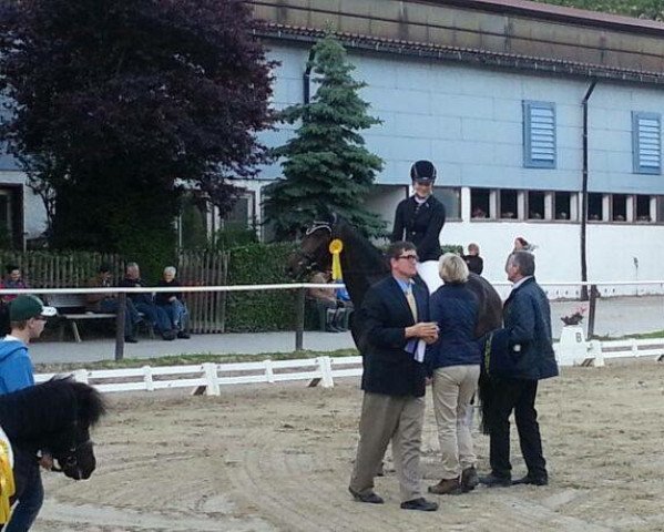 Cheval de dressage Sunrise enjoy (Hanovrien, 2008, de Sandro Hit)