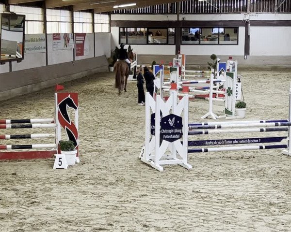 Reitturnier Vlotho-Valdorf 2023