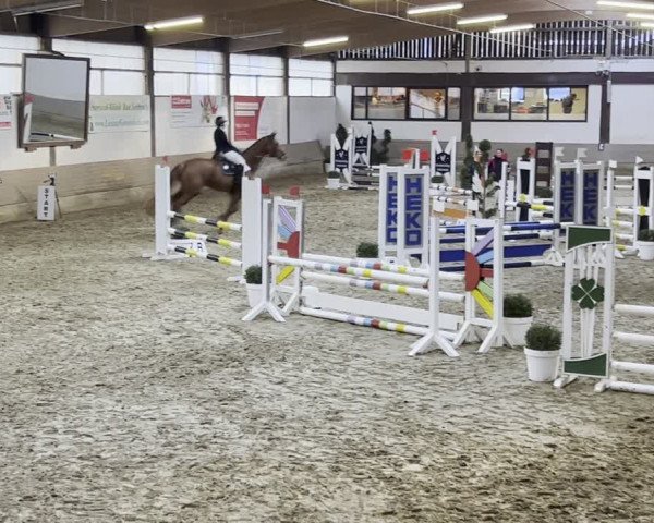 Reitturnier Vlotho-Valdorf 2023