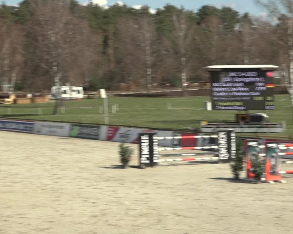 Reitturnier Westergellersen 2023