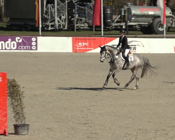 Reitturnier Westergellersen 2023