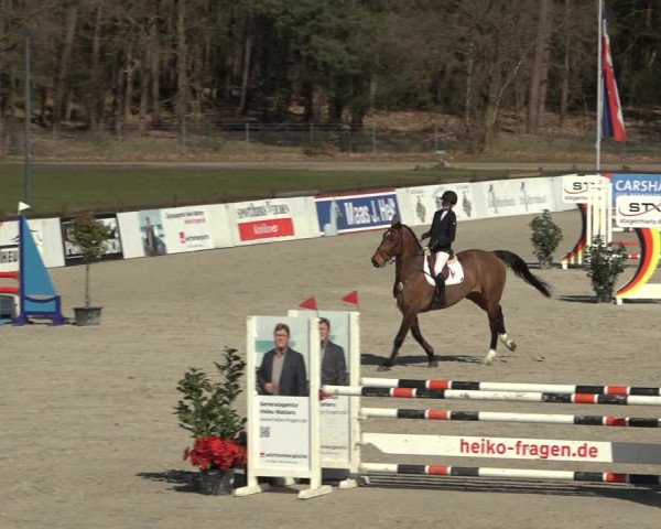 Reitturnier Westergellersen 2023