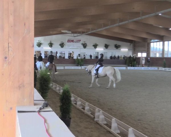 Reitturnier Coesfeld/Lette 2021