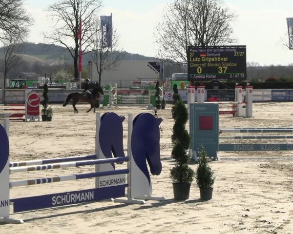 Reitturnier Werne-Lenklar 2023