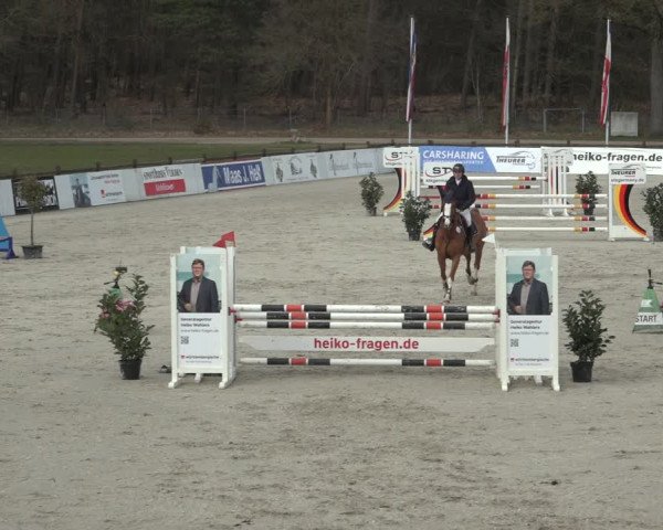 Reitturnier Westergellersen 2023