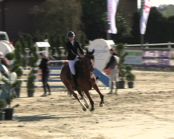 Reitturnier Werne-Lenklar 2023