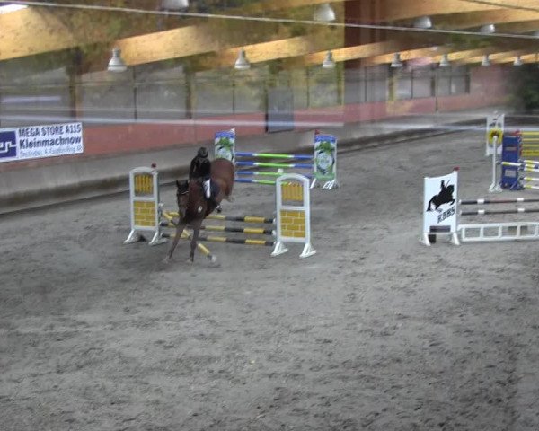 Reitturnier Tremsdorf, Eichenhof 2021