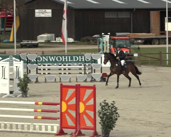 Reitturnier Westergellersen 2023